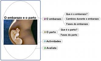 Mapa de ideas sobre o embarazo e o parto.