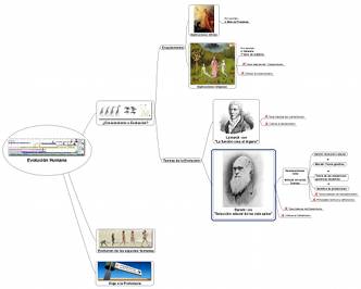 Mapa de ideas sobre evolucionismo