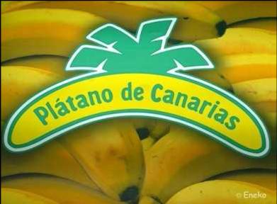 Plátano de Canarias