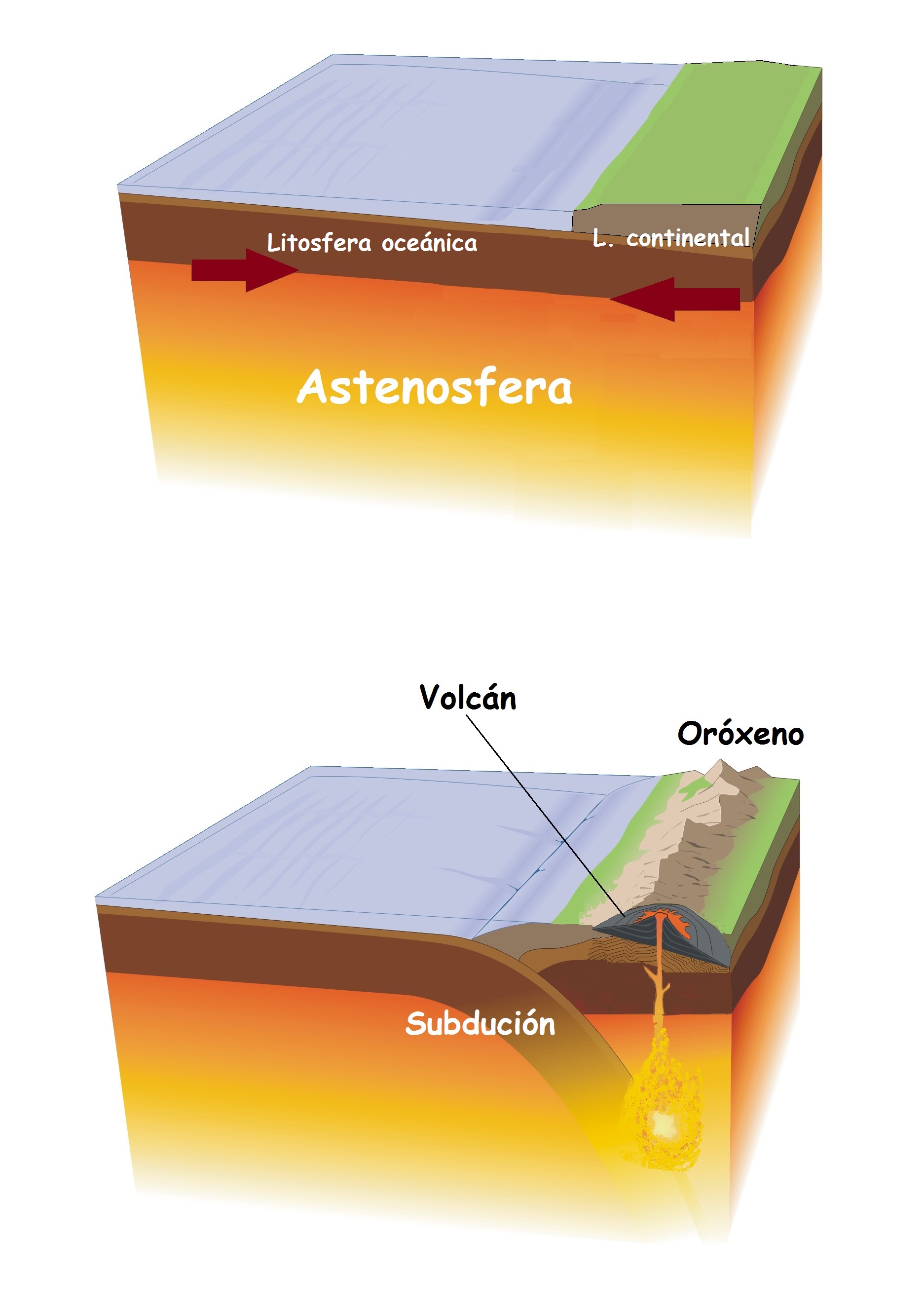 Oróxeno de subdución (perioceánico)