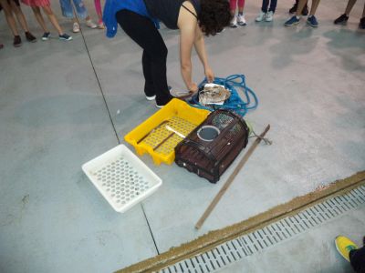 3º e 4º de Primaria visitan a lonxa de Cedeira
