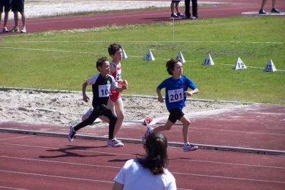 Palabras chave: CEIP ANTONIO INSUA BERMUDEZ VILALBA LUGO XOGADE ATLETISMO PISTA PROVINCIAL 2013