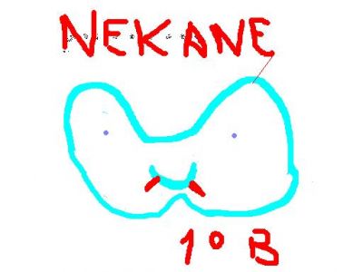 carnaval__1_nekane.JPG