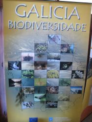 biodiversidade