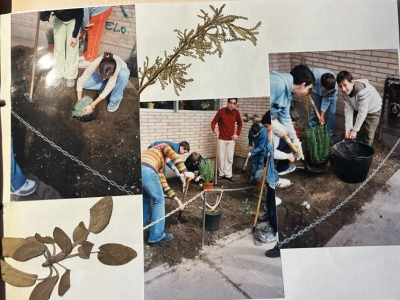 1999-2000 Plantando vida  - Ver traballo  http://www.edu.xunta.gal/centros/ceipcampolongo/node/667
