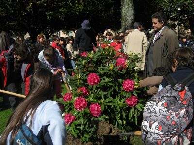 Palabras chave: Intercambio con Portugal - No