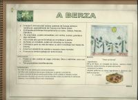 12-berza.jpg