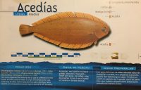 Peixes-en-Galego_Pagina_03~0.jpg