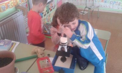 mirando polo microscopio
