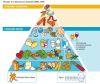 Nutricion-Dietas-Piramide-alimenticion-saludable-SENC-2004.jpg