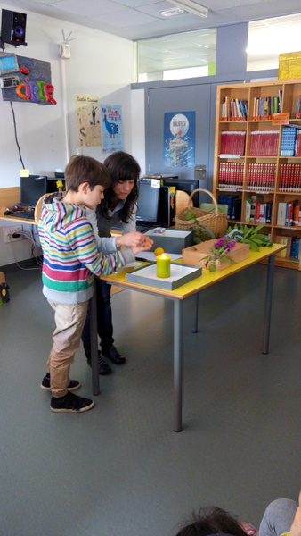 Obradoiro de plantas mediciñais
