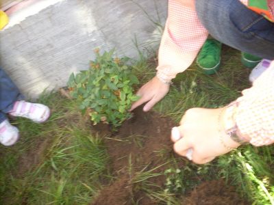 Plantaron os da aula mixta 2
