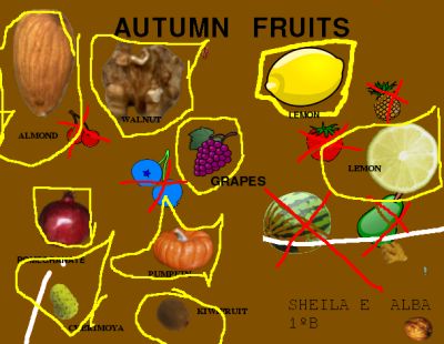 Automn fruits
