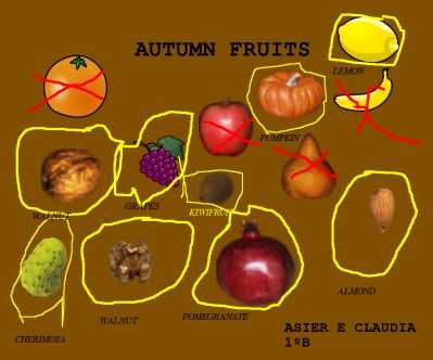 Automn fruits
