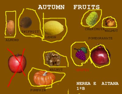 Automn fruits
