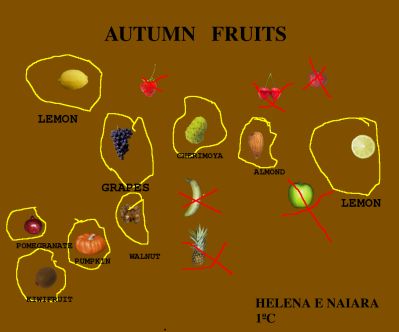 Fruits
