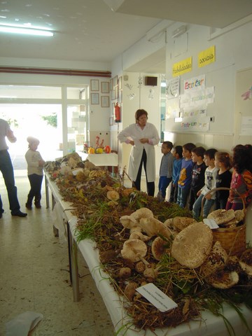 Aula de 5 anos A e B
