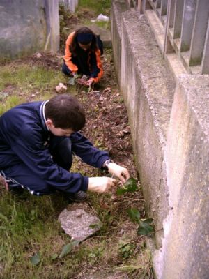 Guillermo_mimando_as_plantas.JPG