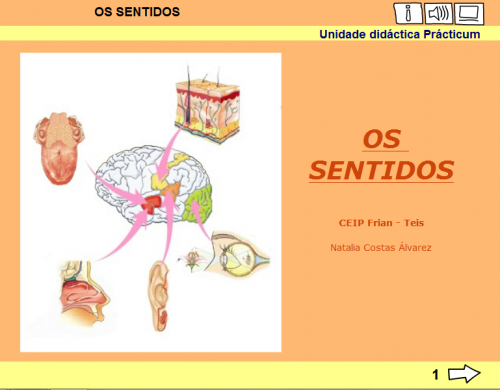 OS SENTIDOS