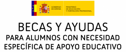 Becas NEAE