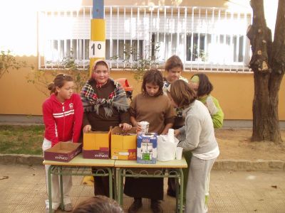 As castañeiras
