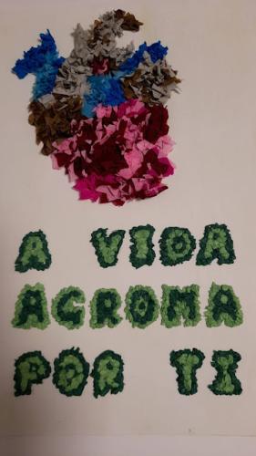 vida_agroma