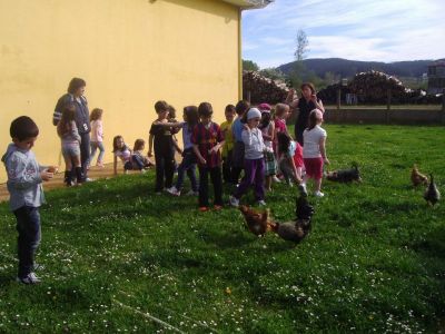 800400_excursion_cedeiraP1010015.jpg