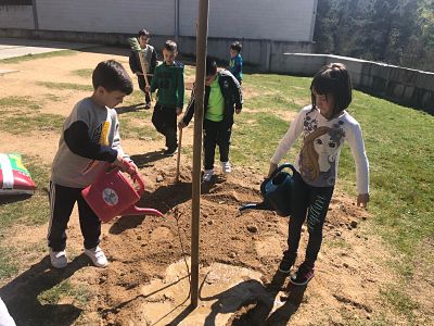 Plantando unha árbore no cole
