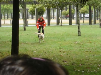 2º CURSO VISITA ACADEMIA DE SEGURIDADE GALEGA.
