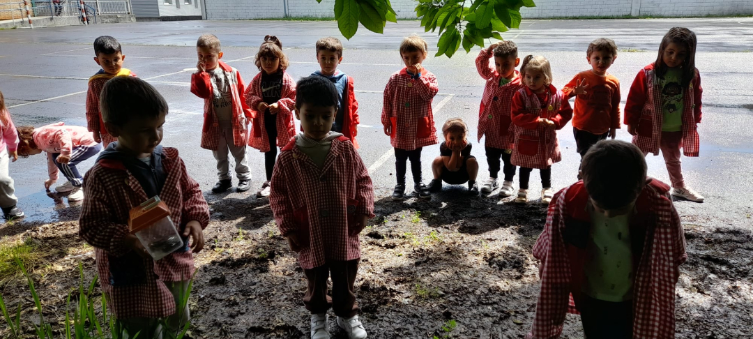 Palabras chave: Xoel trouxo ás ras de visita á escola.