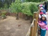 Zoo_011.jpg