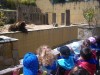 Zoo_022.jpg