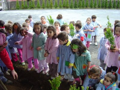 O nenos/as de E. Infantil plantamos buxos

