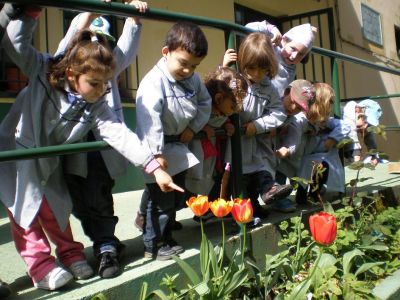 Mica contounos o conto do Tulipán durmido e nós fómolos ver ao xardín do cole.
