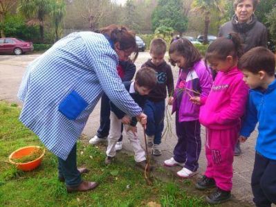 Palabras chave: actividades, patio