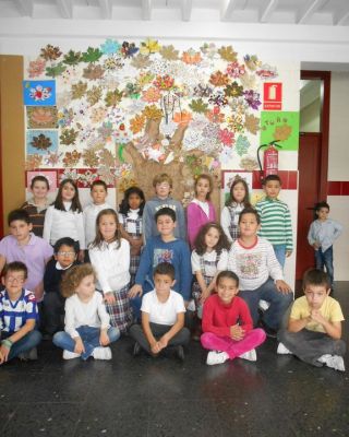 2º de E.Primaria C
