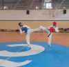 taekwondo_21-22_28729.jpeg