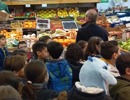 visita ao mercado