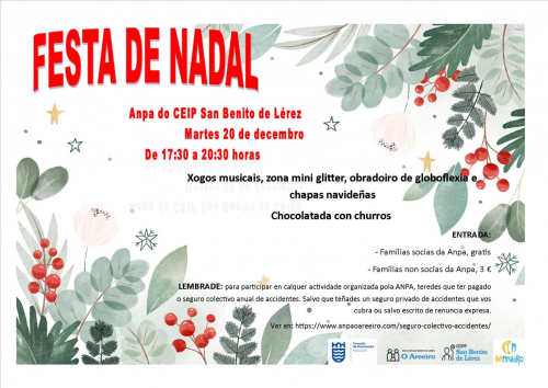 Cartaz Festa de Nadal da ANPA