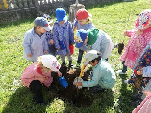 nenos plantado árboles