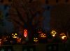 HALLOWEEN_16_123.JPG