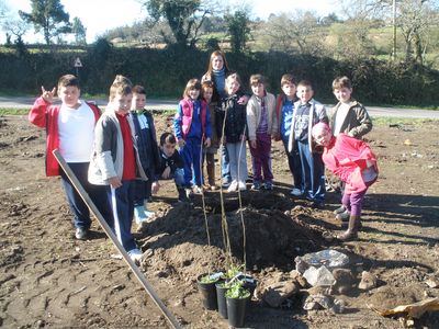 Plantación_castiñeiros_20-03-12_(28)_[].jpg