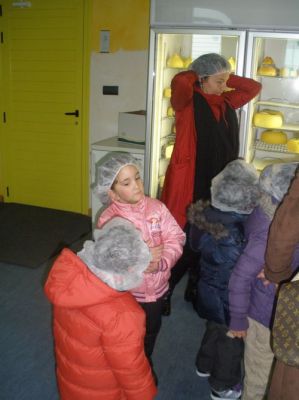 Excursión_de_Infantil_á_fábrica_de_queixos_Olveira_18-02-11_002_[].jpg