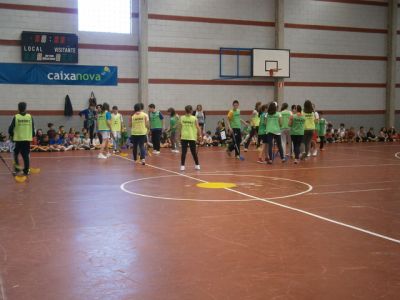 COMPETICIÓN DEPORTES COLECTIVOS
