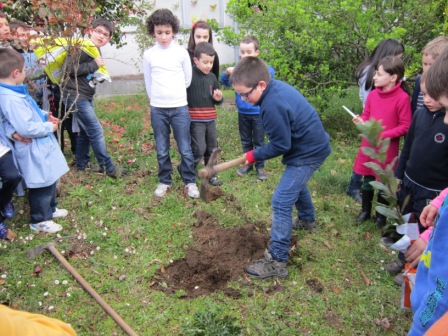 Plantando a Loureano