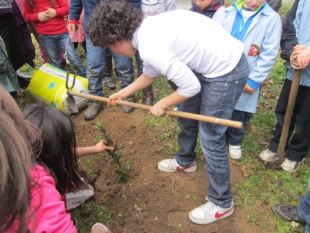 Plantando a Loureano