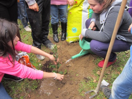 Plantando a Loureano