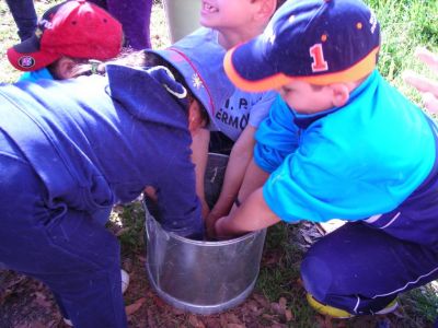 1º Ciclo
 En Lodoselo
