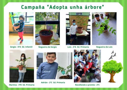 Campaña "Adopta unha árbore"