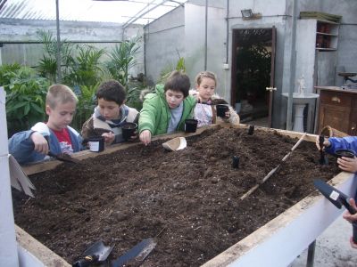 Preparados para plantar
